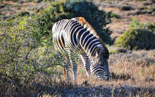 1755265 (a): :1920x1200